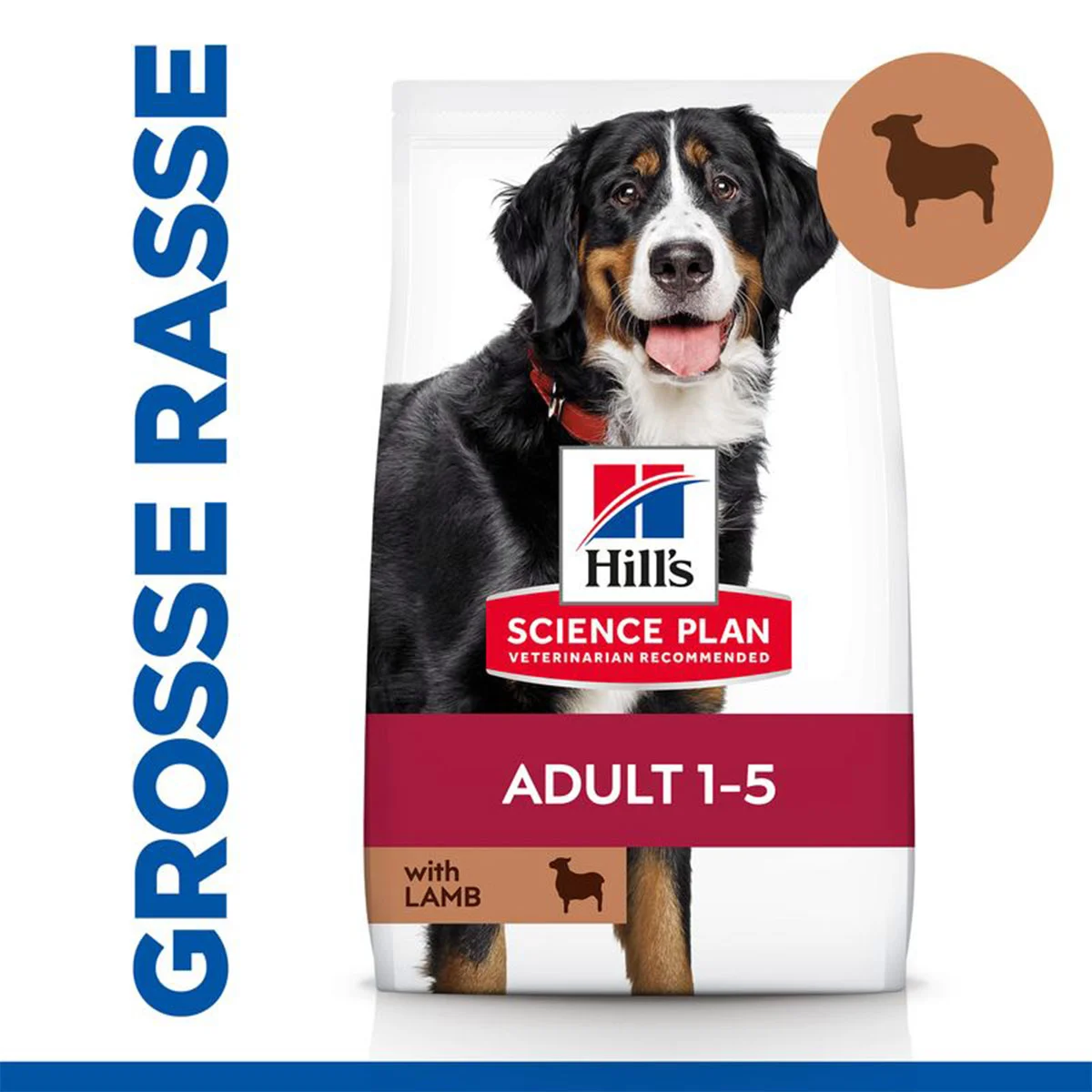 Hill's Science Plan Hund Large Breed Adult Lamm & Reis 14kg