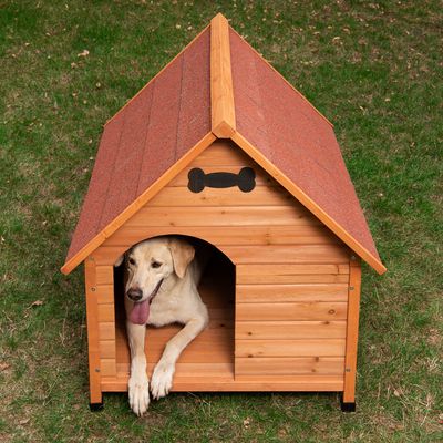 Hundehütte Spike Classic