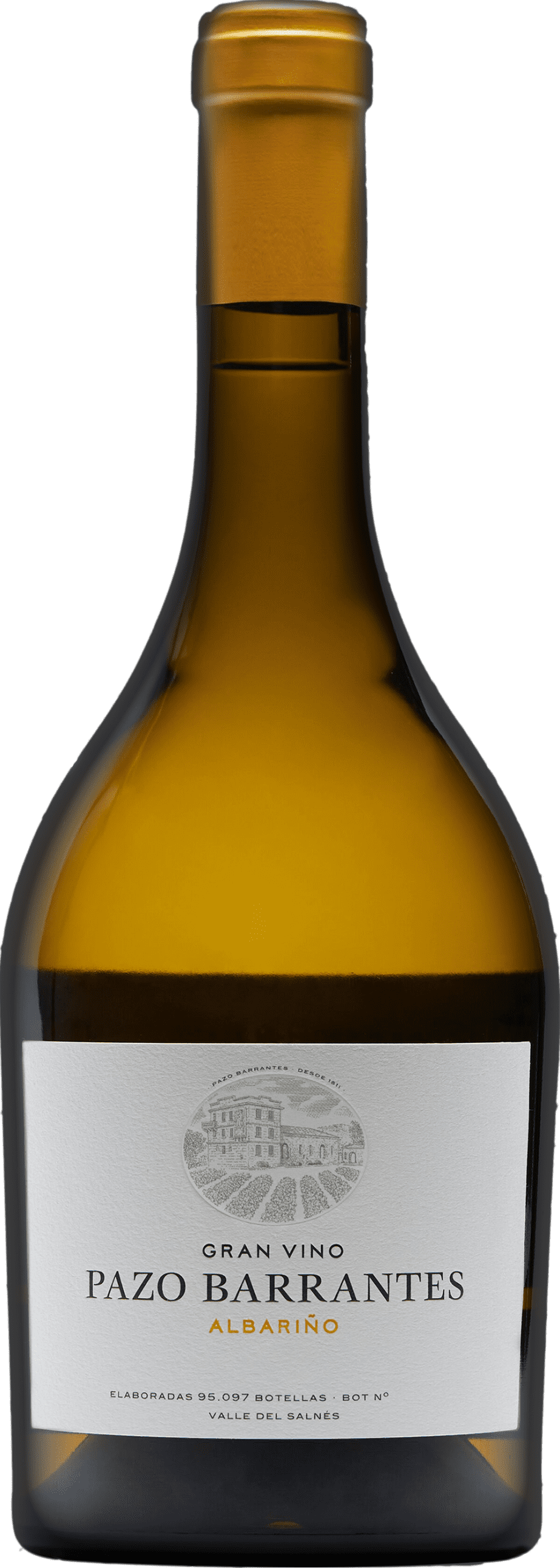 Marques de Murrieta: Pazo de Barrantes Gran Vino Albarino 2020