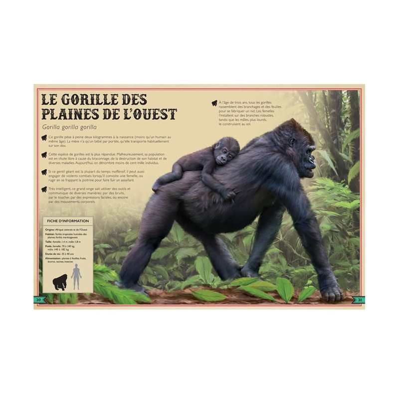 Livre extraordinaire des singes - Little Urban