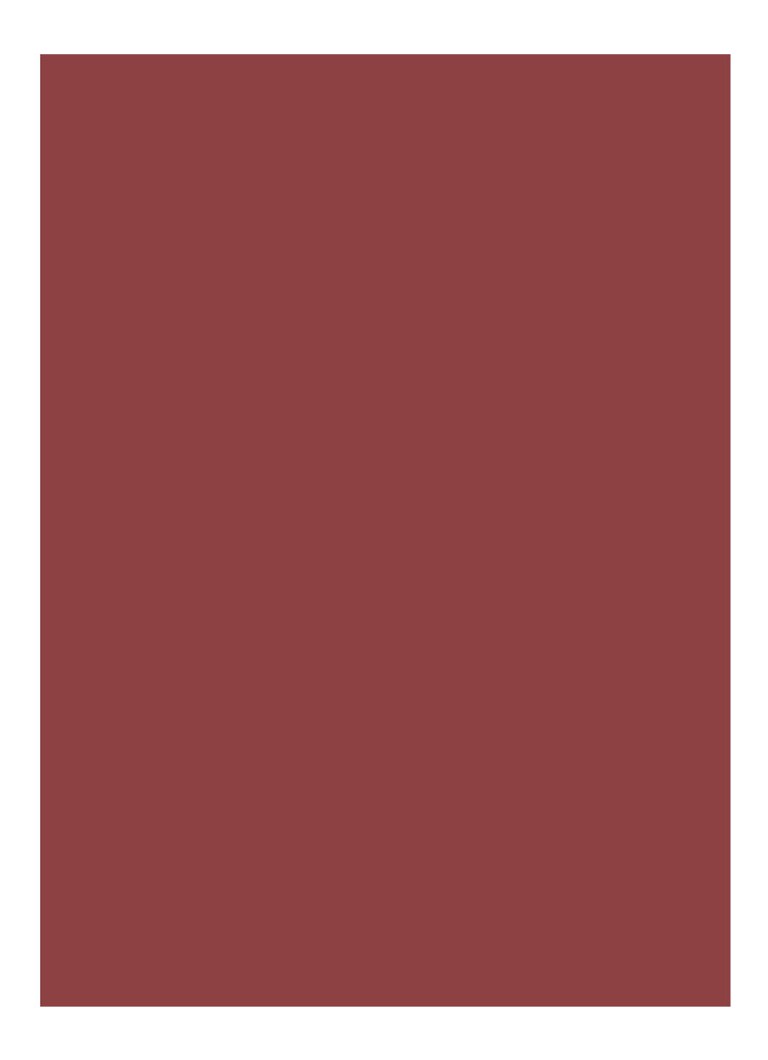 Bobbi Brown Luxe -huulipuna