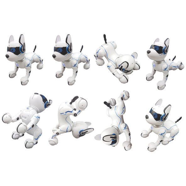 Power Puppy, Roboterhund mit Programmierfunktion