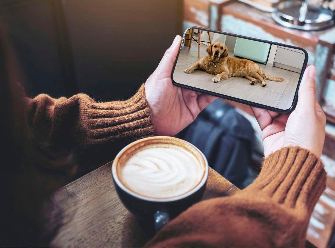 Hama WiFi-Kamera 1080p Bewegungssensor u.Nachtsichtfunktion Mit App indoor Smart Home Kamera (Innenbereich, Nachtsicht,eingebautes Mikrofon)