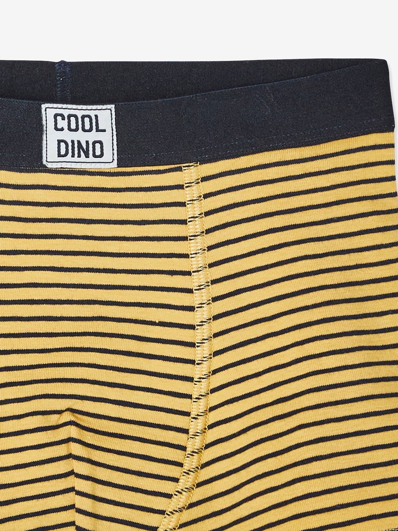 Vertbaudet 5er-Pack Jungen Boxershorts, Dinos Oeko Tex - farblich sortiert