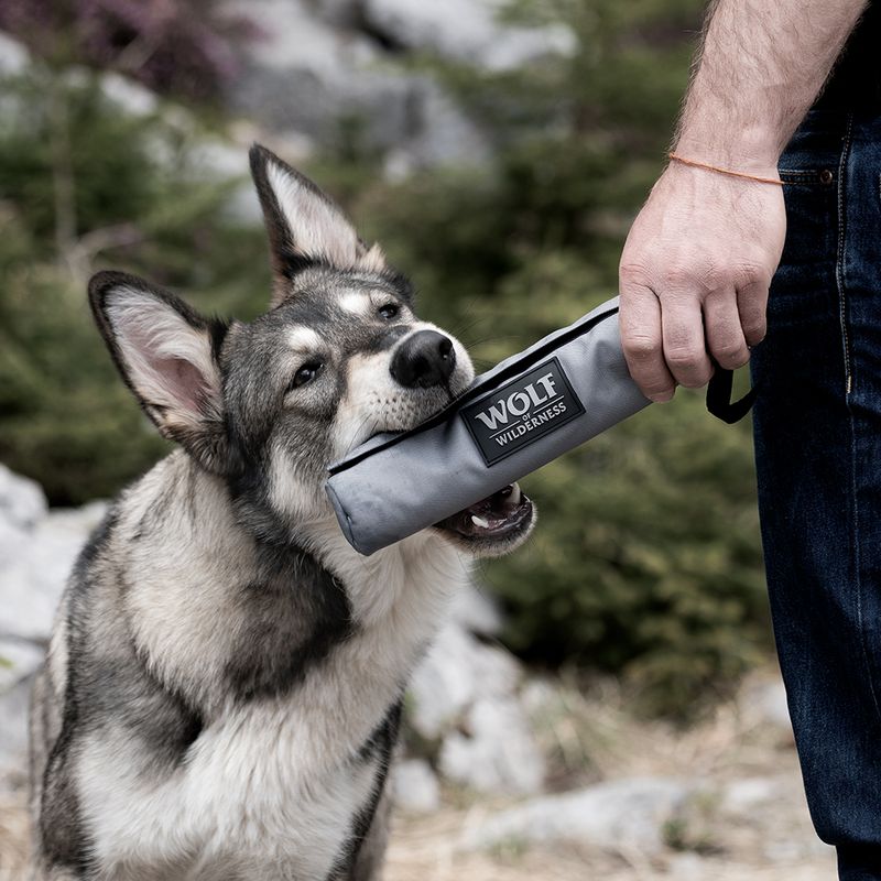 Wolf of Wilderness Dosendeckel zu TOP-Preisen