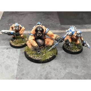 Tamarin Patriarch with Royal Guard (3)