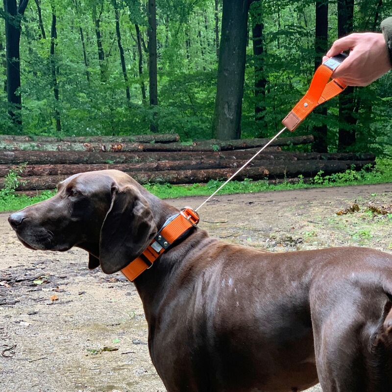 WowWow Hundehalsband Professional