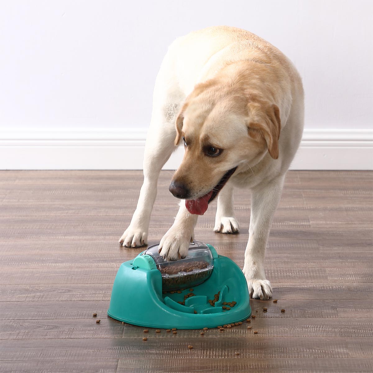 Dog Spin N'Eat Intelligenzspielzeug günstig kaufen bei ZooRoyal