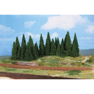 Tannen 5-12 cm (35 Stk.)