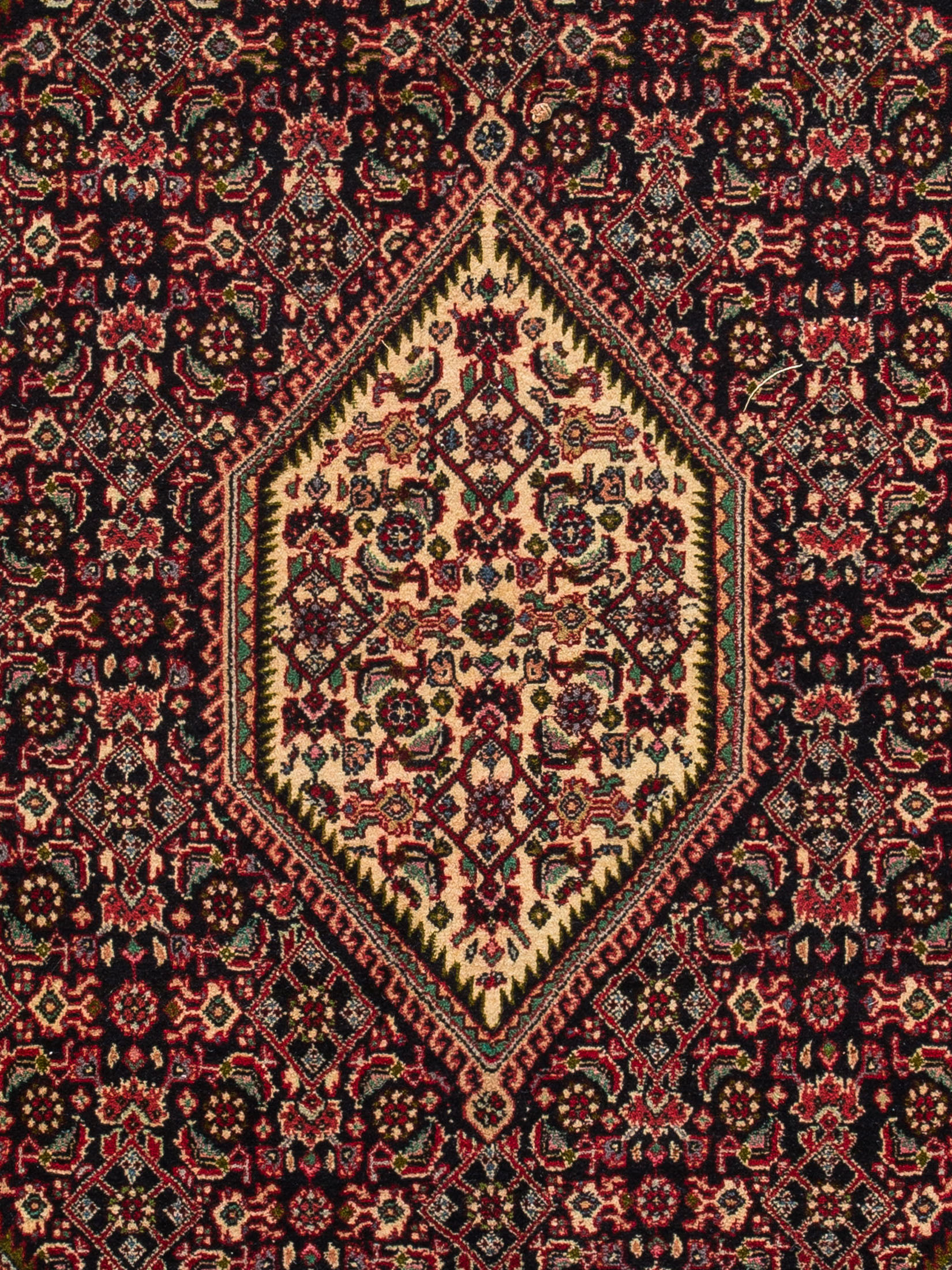 Bidjar Zandjan ca. 212 x 312 cm, Unikat / Einzelstück