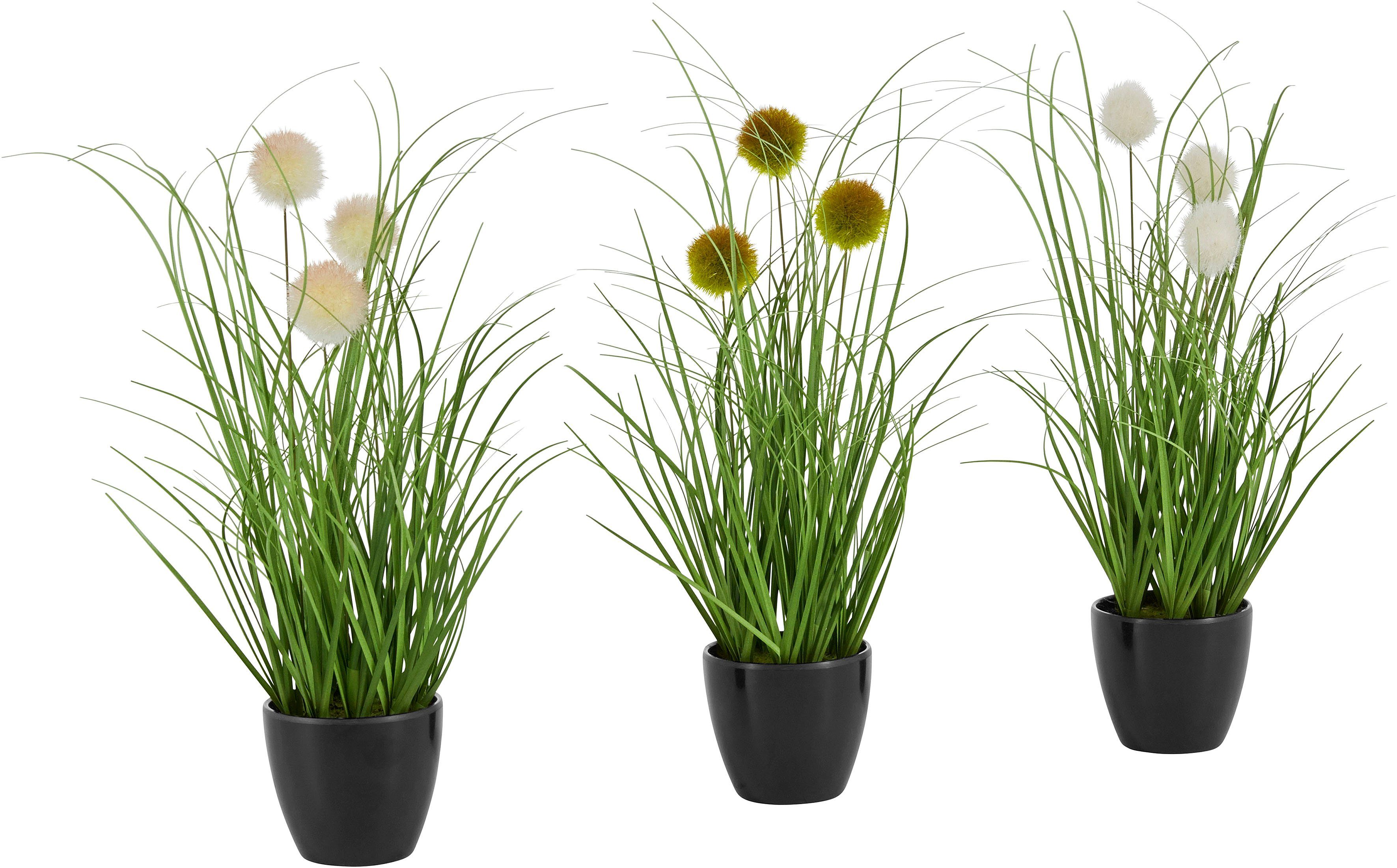 Kunstgras Grasbusch mit Kletten, Leonique, Höhe 35 cm, Kunstpflanze, Gras, im Topf, 3er-Set