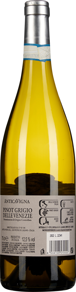 Antica Vigna Pinot Grigio 2022