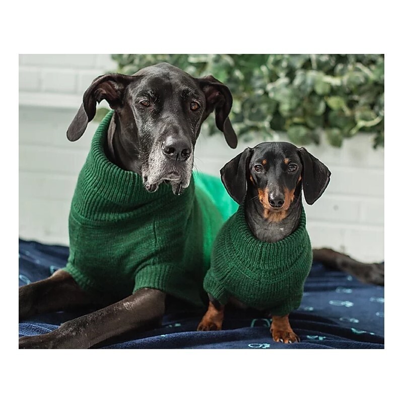 GF Pet Hundepullover GF Pet Trail Pullover Forest grün XXXS