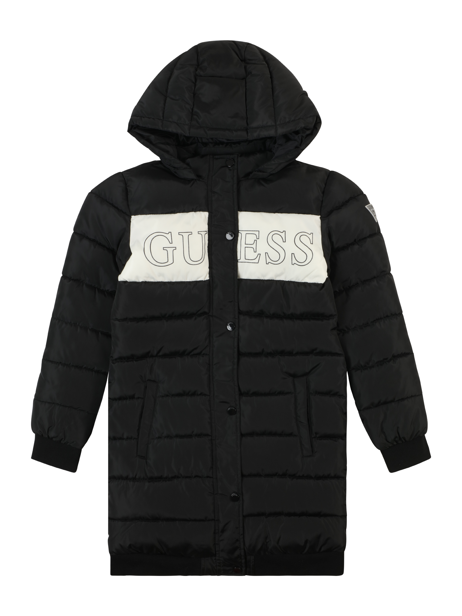 Winter Jacket