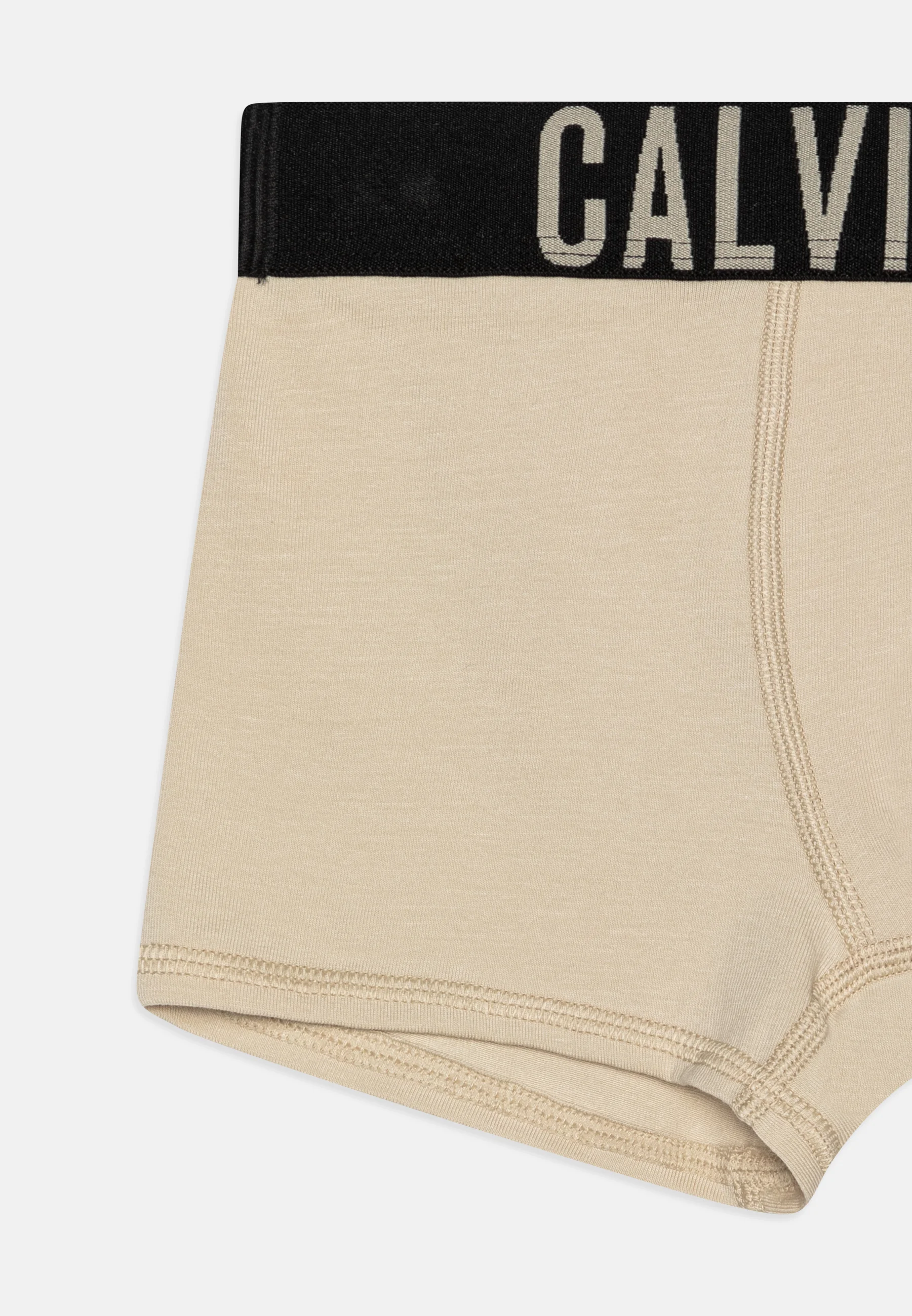 Calvin Klein Underwear TRUNK PACK DE 3 - Culotte