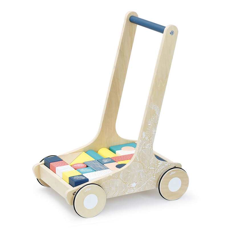 Chariot avec 24 cubes Sous la canopée Vilac