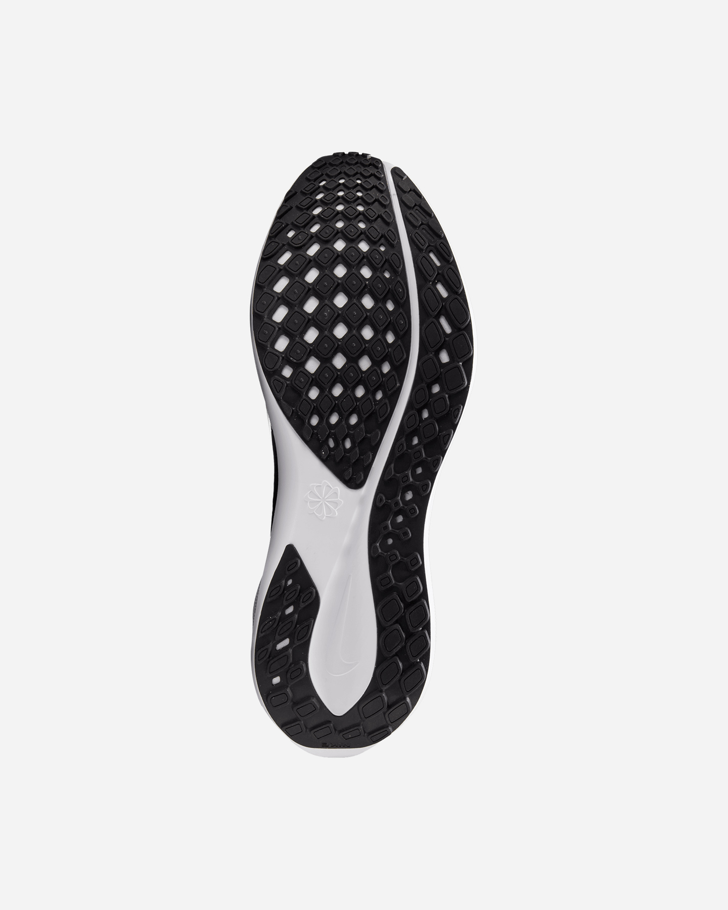 Scarpe Running Nike Pegasus 41 M FD2722-007