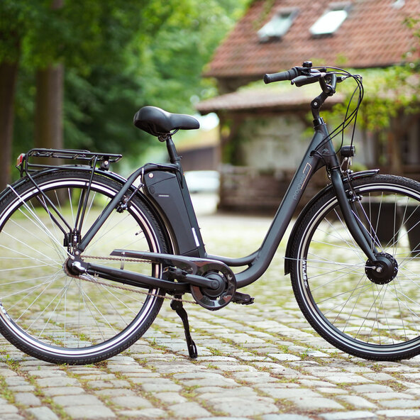 E-Bike Geniesser 1.0 28