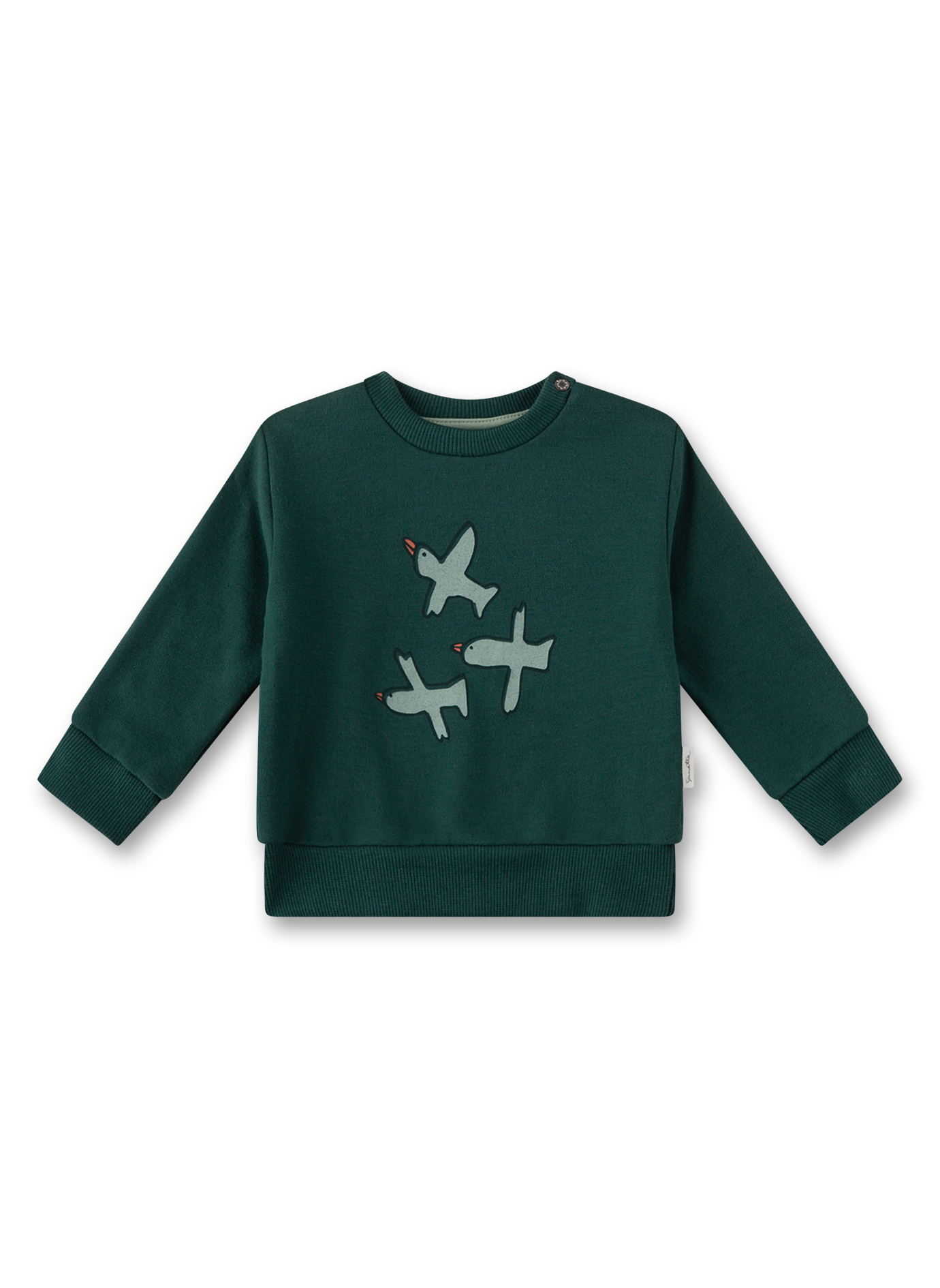 Jungen-Sweatshirt Grün