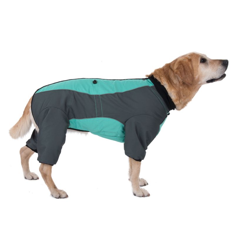 Hundeoverall Mint zu TOP-Preisen