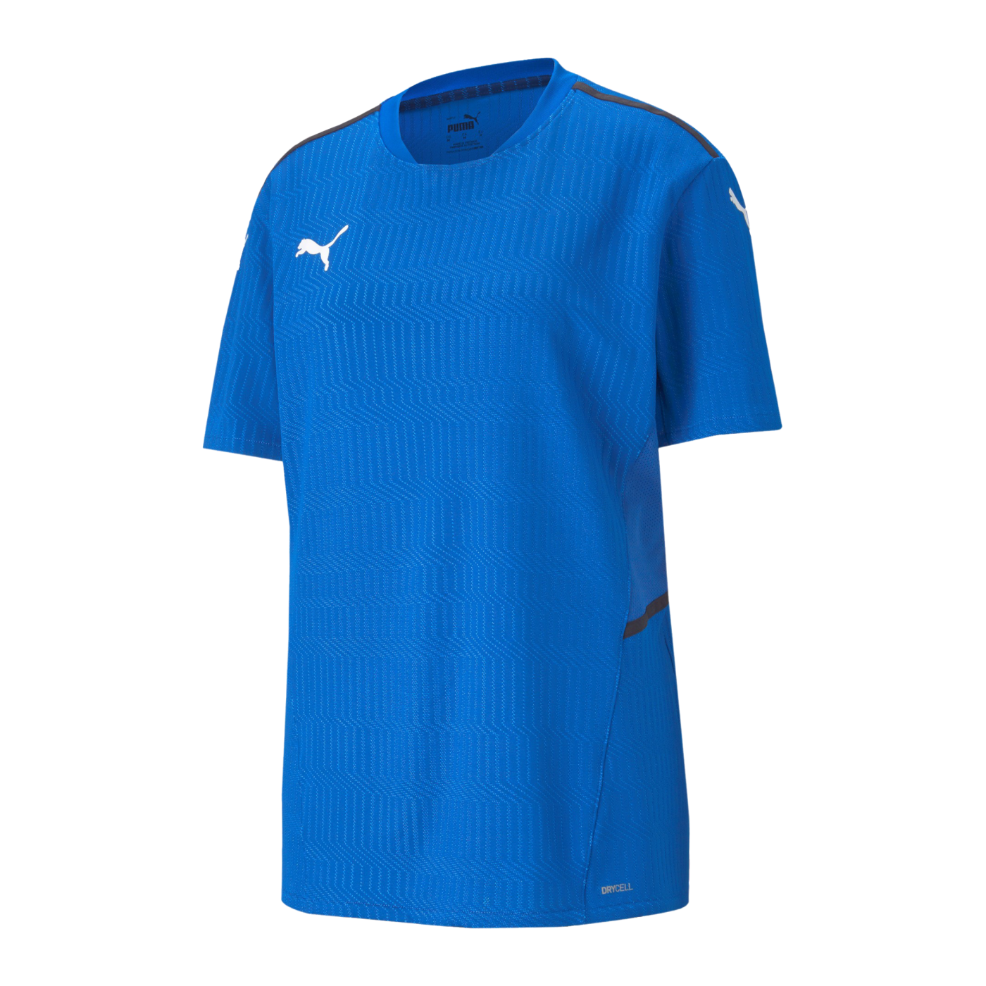 PUMA teamCUP Trikot Blau F02