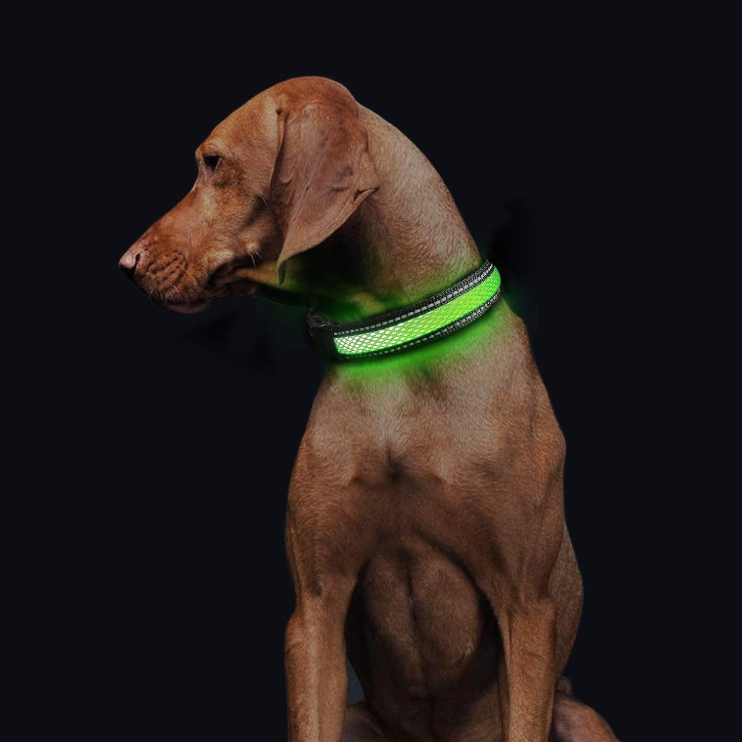 Ciskotu Hunde-Halsband Leuchthalsband Hunde Aufladbar,Hundehalsband Leuchtend Wasserdicht, mit 3 Beleuchtungsmodi, Verstellbare LED Halsband