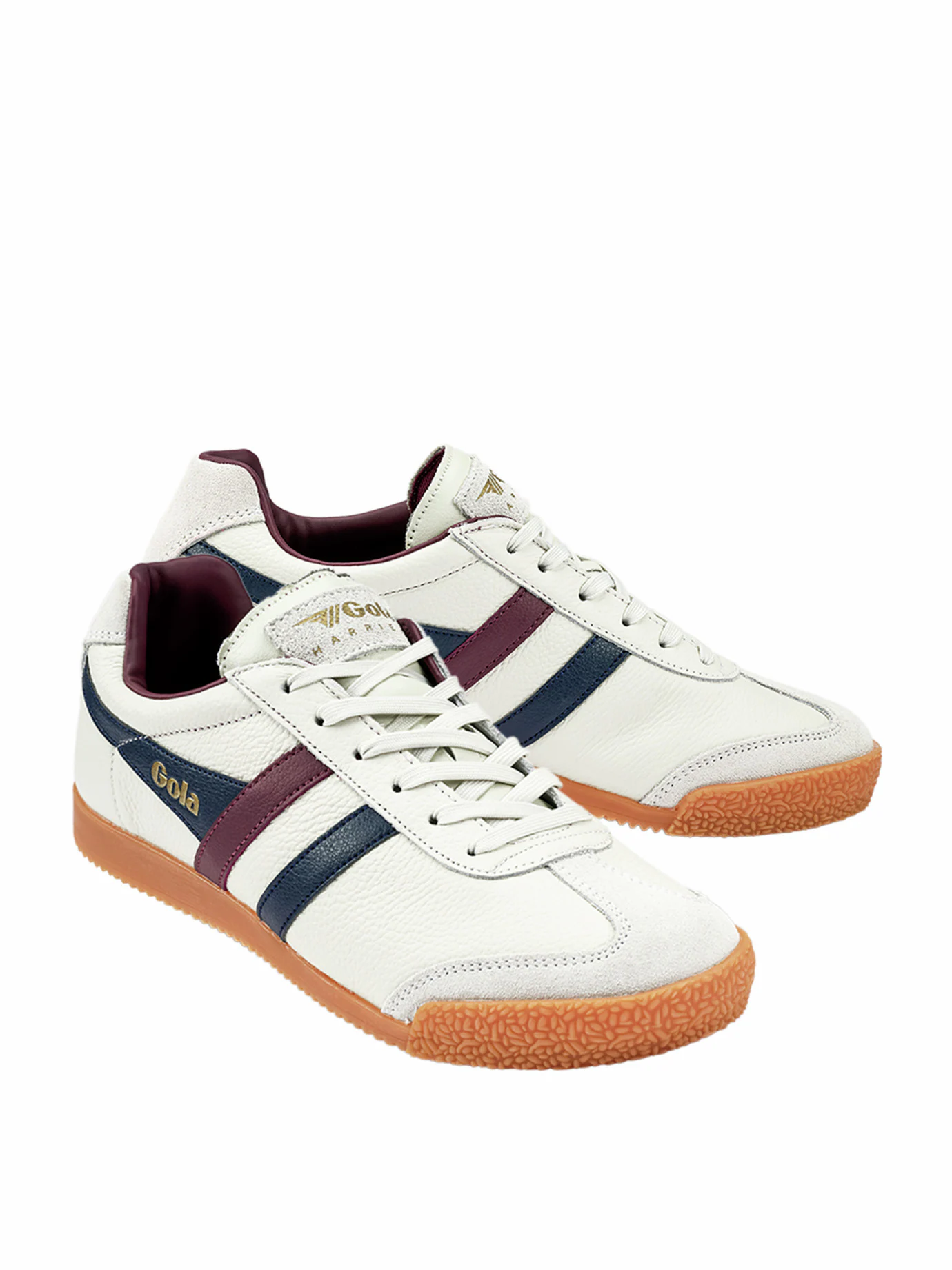 Gola Harrier
