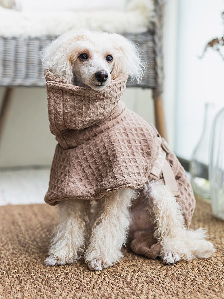 Paikka Hunde-Trockenmantel in Beige günstig kaufen