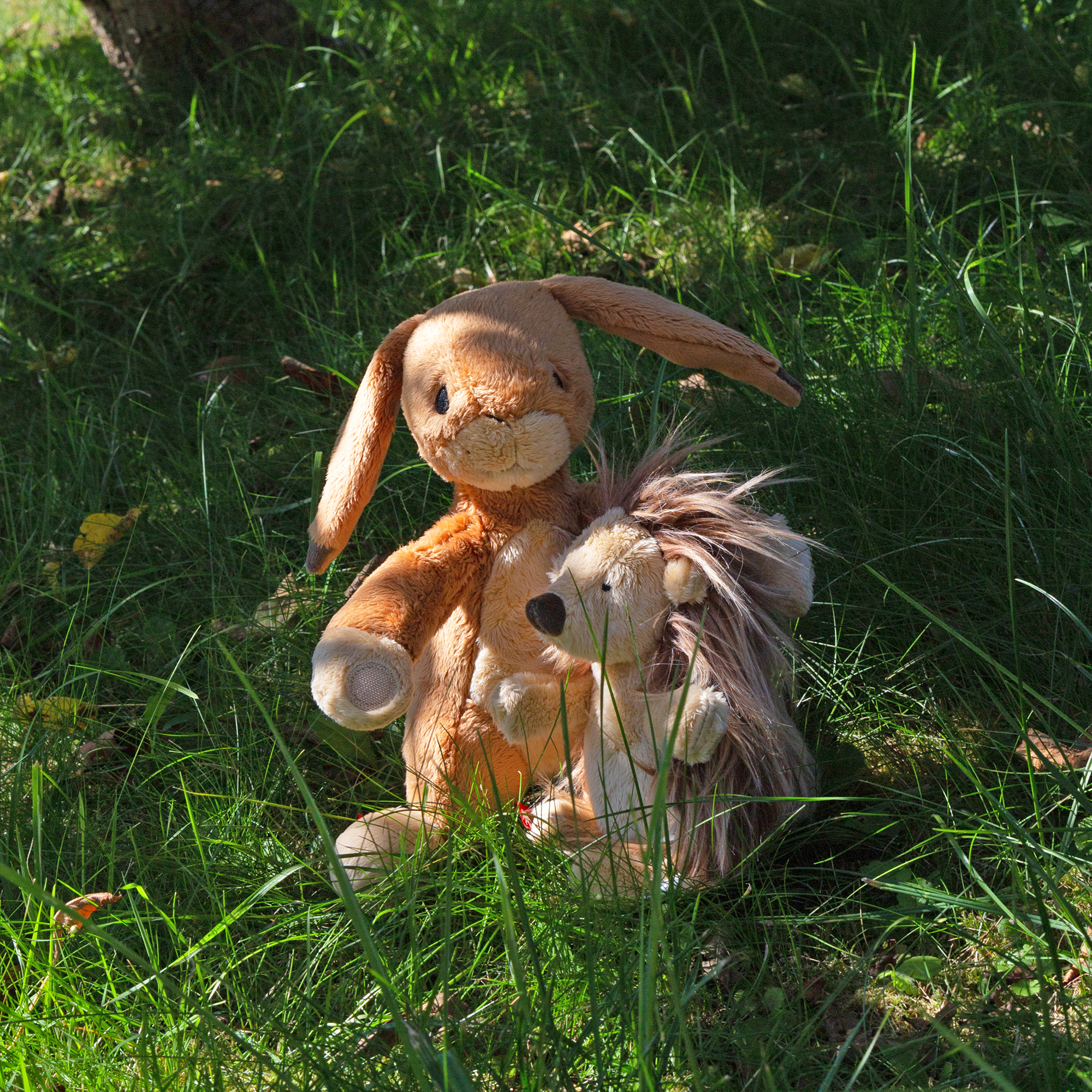 Wir Zwei Hase sigikid & Friend