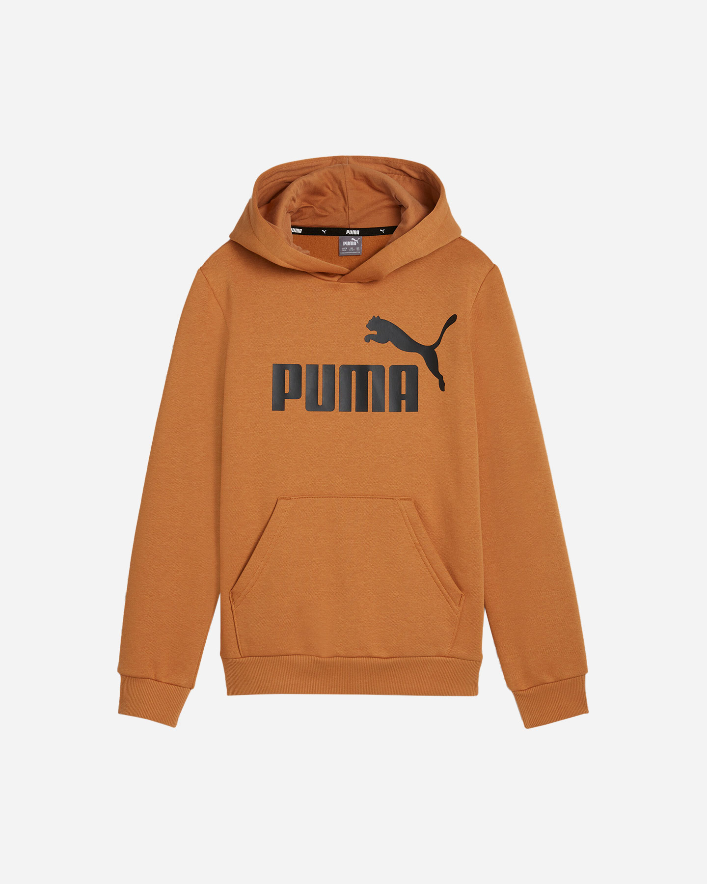 Puma Essential Big Logo Jr 586965-20 Polar