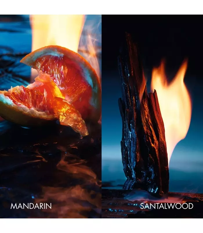 SAUVAGE Parfum