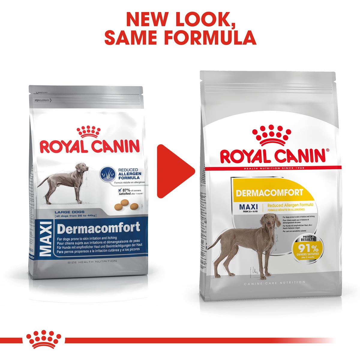 ROYAL CANIN DERMACOMFORT MAXI Trockenfutter für große Hunde mit empfindlicher Haut