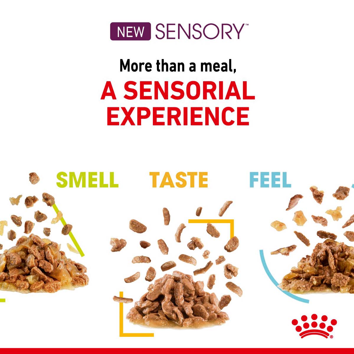 Royal Canin Sensory Taste Gravy günstig kaufen
