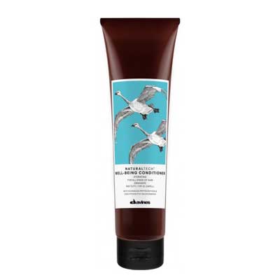 Davines Well-Being Conditioner Pflege für normales Haar
