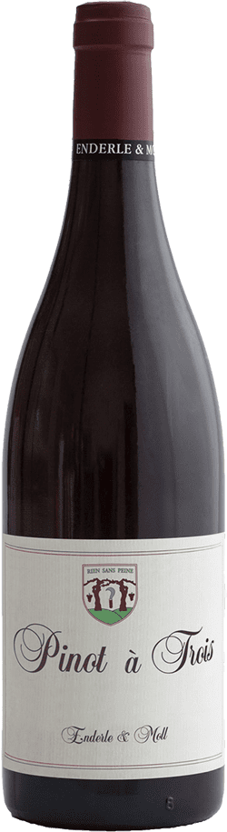 Enderle & Moll: Pinot Noir - Pinot à trois 2022