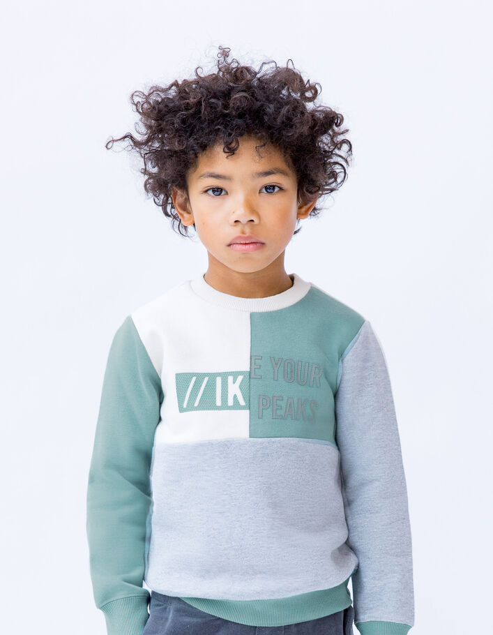 Sweat gris, vert, écru visuels en gomme garçon