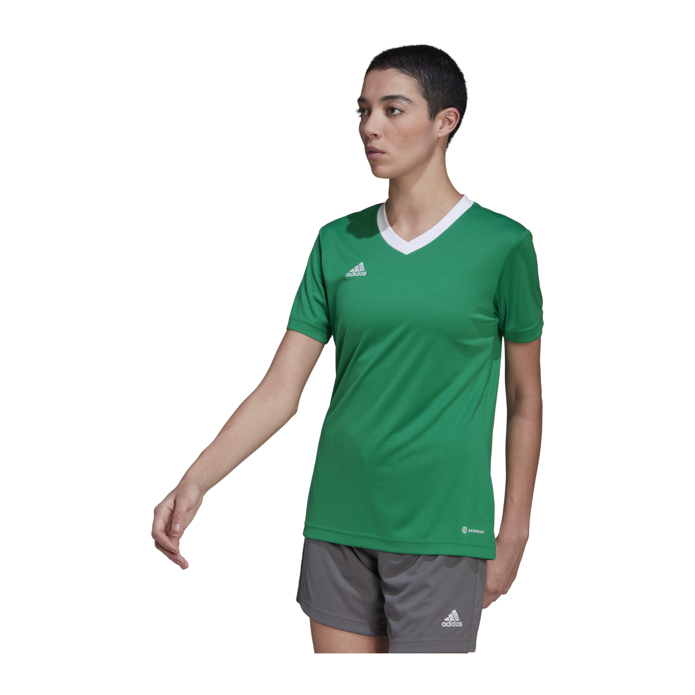 adidas Entrada 22 Trikot Damen Grün