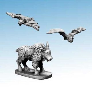 Mountain Goat & Blood-drinker Bats