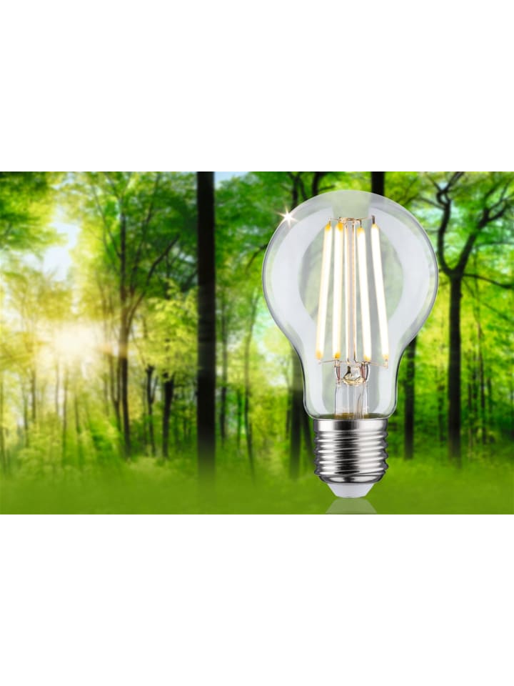 paulmann Eco-Line Filament 230V LED Birne 1er-Set A günstig kaufen onesize