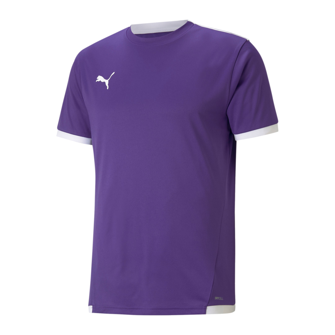 PUMA teamLIGA Trikot Lila F10