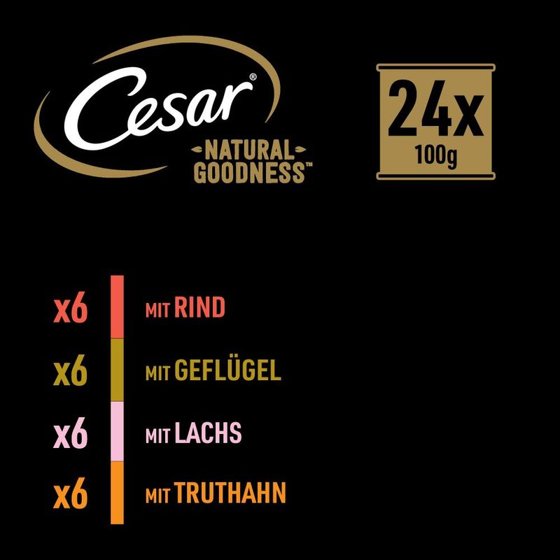 Cesar Natural Goodness Getreidefrei mit Superfoods 24 x 100 g