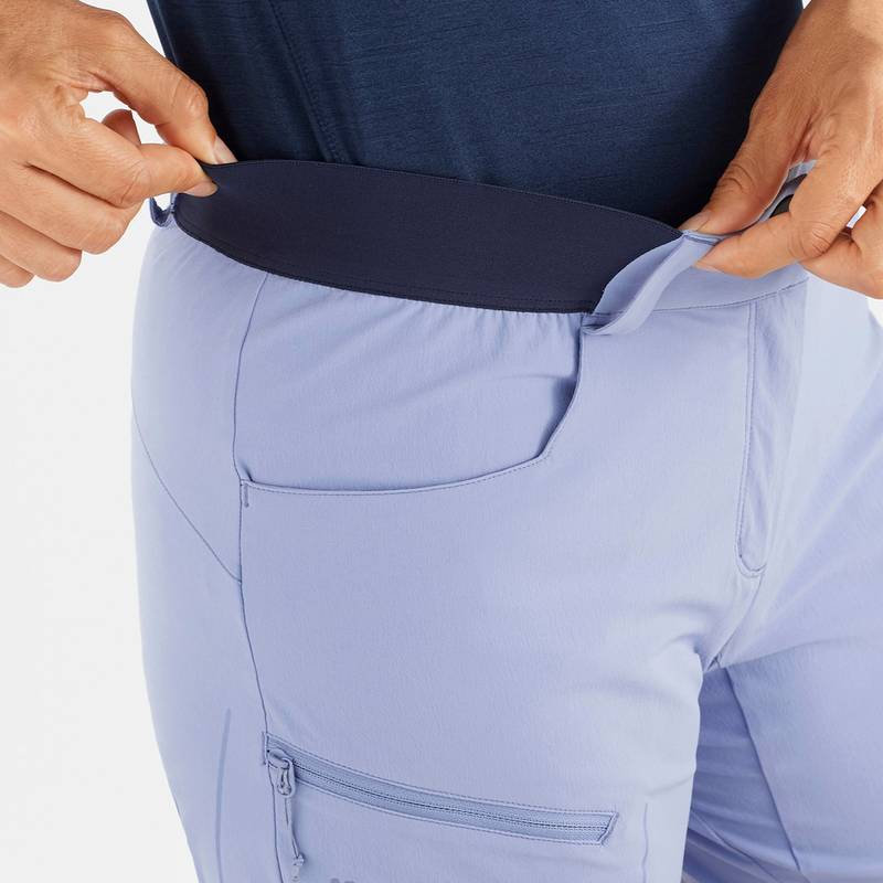 Salomon Wayfarer Funktionsshorts Damen