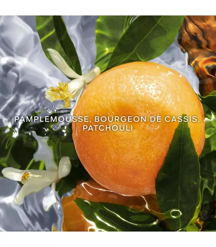 AQUA ALLEGORIA Pamplelune Vaporisateur