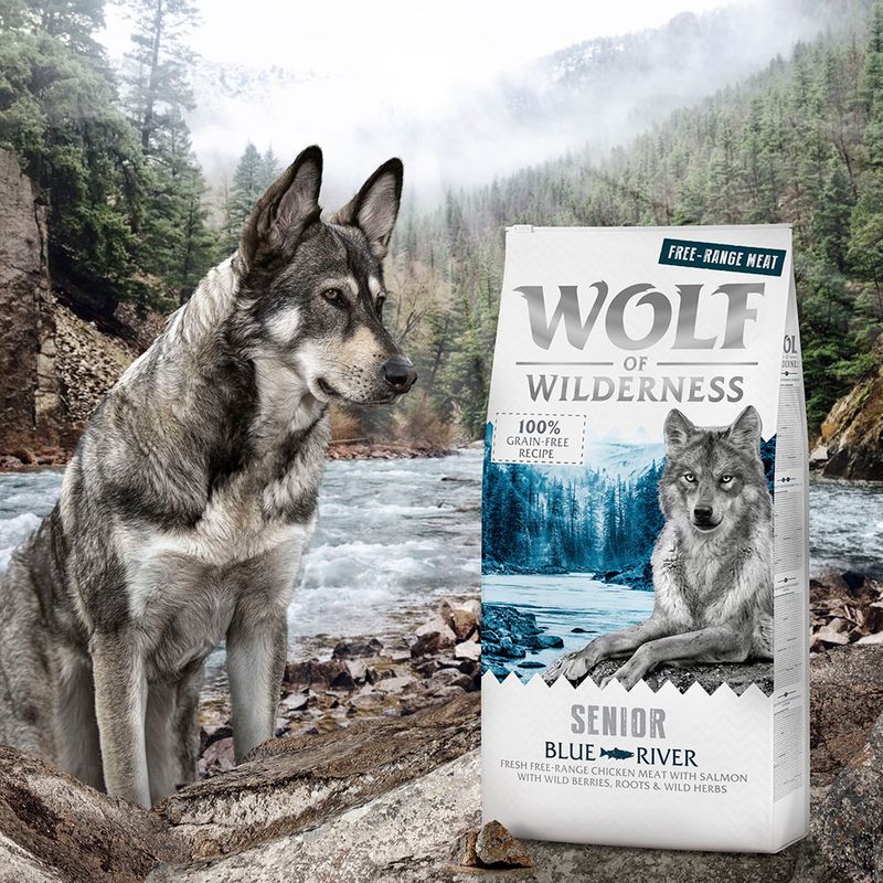 Wolf of Wilderness Senior 'Blue River' - Freilandhuhn & Lachs