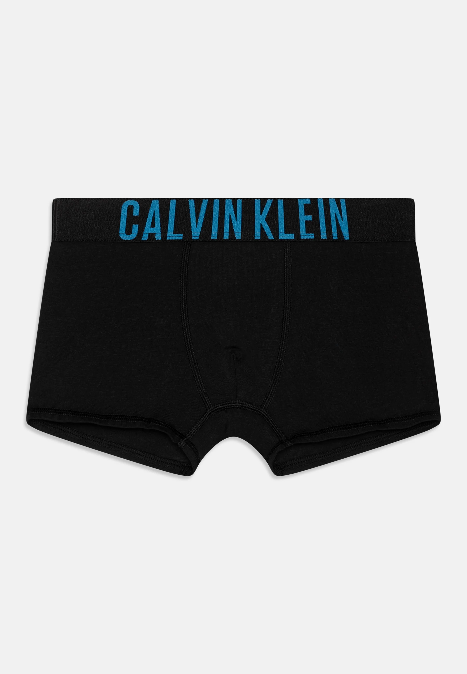 Calvin Klein Underwear TRUNK PACK DE 2 - Culotte