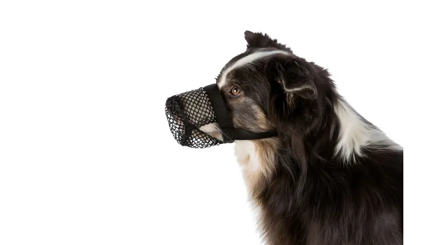 Trixie Giftköder-Schutznetz schwarz S-M Hundezubehör