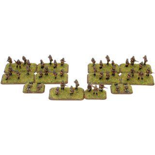 Dismounted Kawalerii Company (PL721)
