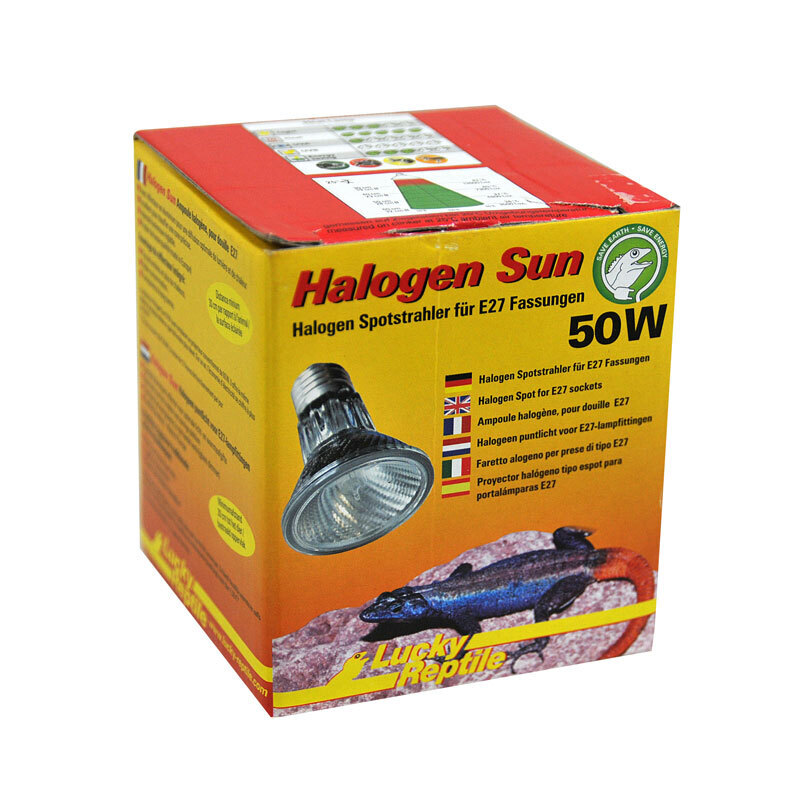 Lucky Reptile Beleuchtung Lucky Reptile Halogen Sun 50 W