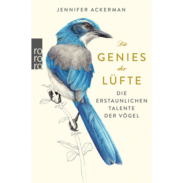 DIE GENIES DER LÜFTE - Sachbuch