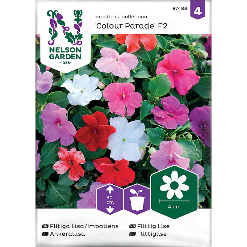 Nelson garden Frø Flittig Lise Colour Parade F2, bland.
